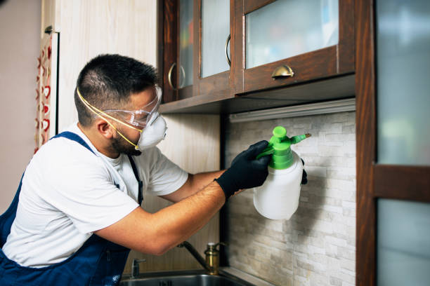 Professional Pest Control in Kulpmont, PA
