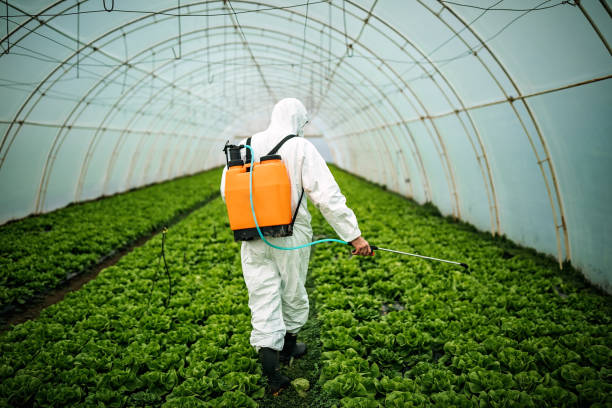 Best Mosquito Control Services  in Kulpmont, PA