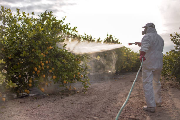 Best Pest Removal Services  in Kulpmont, PA