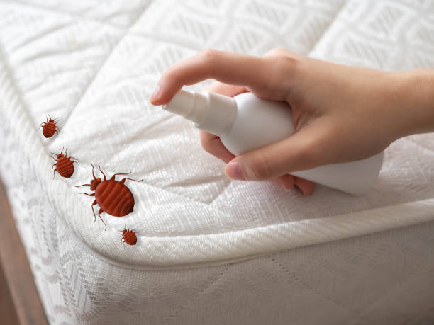 Pest Prevention Services in Kulpmont, PA