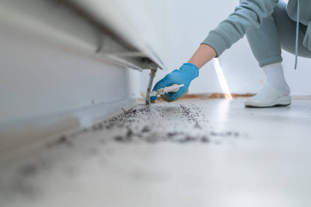 Best Insect Control  in Kulpmont, PA