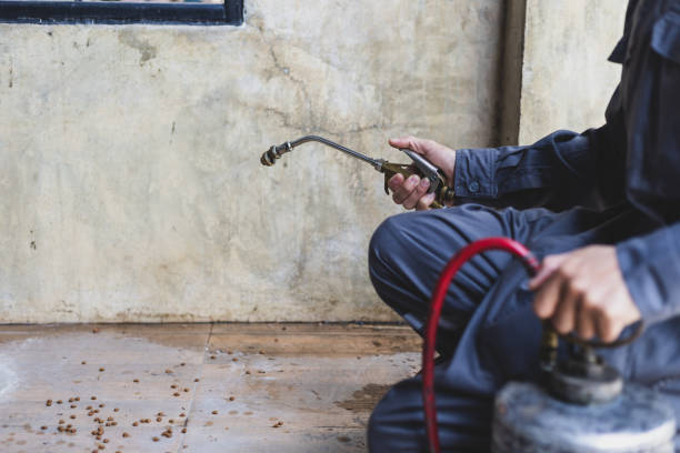 Best Local Pest Control Services  in Kulpmont, PA